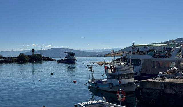Karadeniz'de hamsi boyu küçüldü