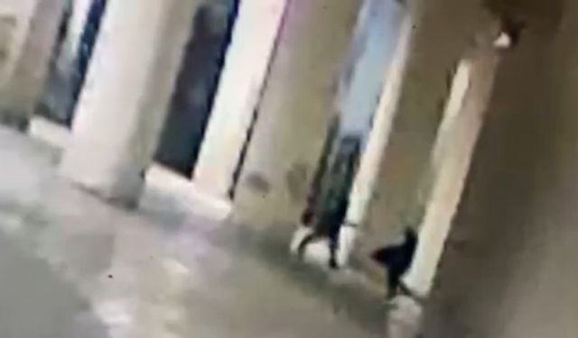 Kendisine para vermeyen adamı bıçaklayarak öldürdü