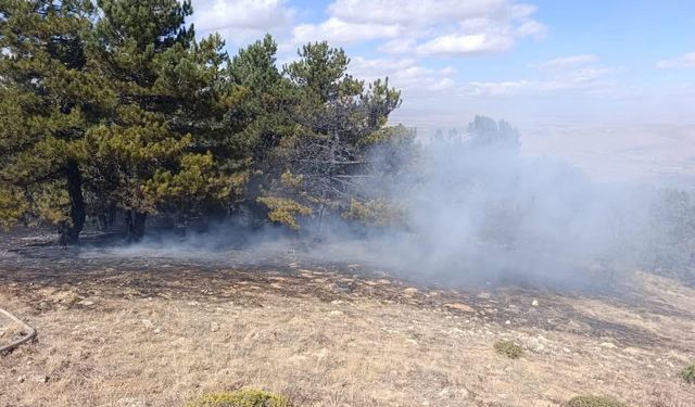 Konya'da orman yangını kontrol altına alındı