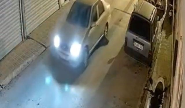 Milas’ta otomobilin altında oklu kirpi öldü