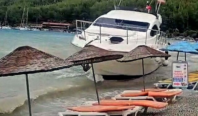 Motoryat karaya oturdu