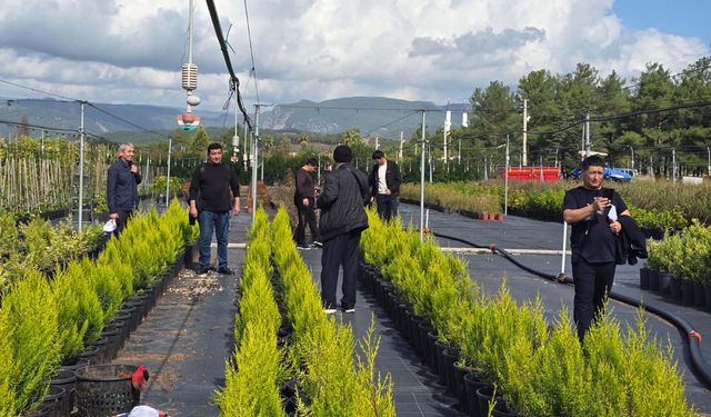 Muğla'da Özbek ormancılardan teknik inceleme