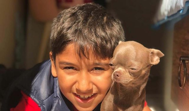 Otomobilin çarptığı Sıraç, hayatını kaybetti!