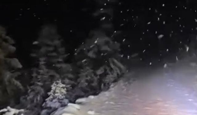 Uludağ’da kar yağışı etkili oldu