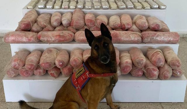 Van'da uyuşturucu operasyonu