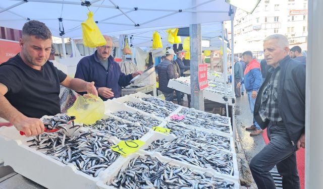 Zonguldak'ta hamsinin kilosu düştü!