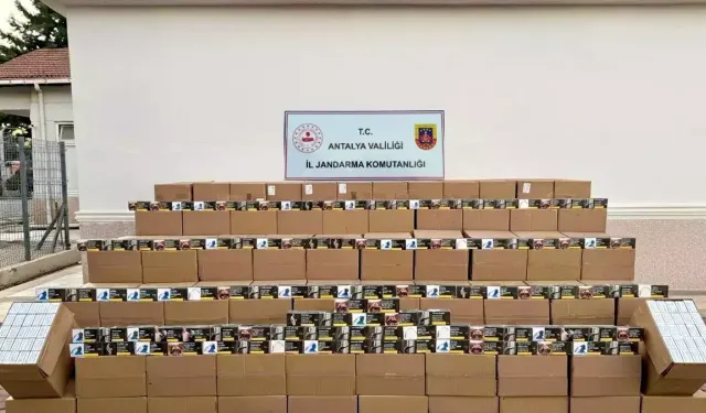 Antalya'da kaçak tütün operasyonu