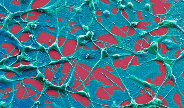 COVID-19 mRNA Aşısı Kanser Tedavisinde Umut Oldu!