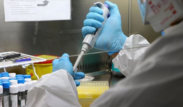 LABORATUVAR HİZMETİ ALINACAKTIR