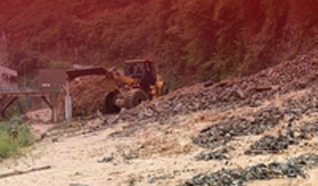 Mahmudiye'de trafik kazaı