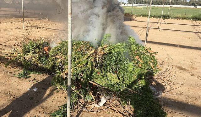 Mersin'de uyuşturucu operasyonu