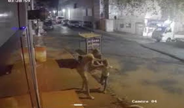 Eşini öldürüp kızını yaraladı