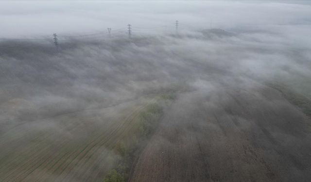 Tekirdağ'da sisli hava etkili