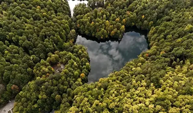 Yedigöller Milli Parkı'nda sonbahar bir başka!