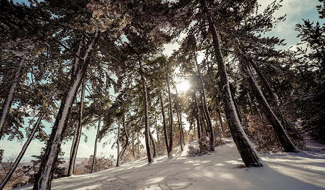 Ankara’nın En Uzak İlçeleri