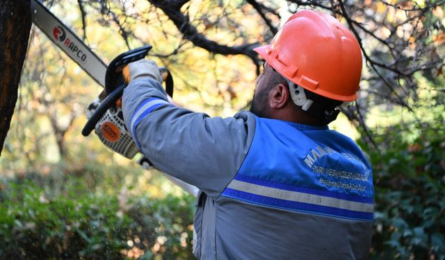 Mamak Belediyesi Ağaçları Kışa Hazırlıyor