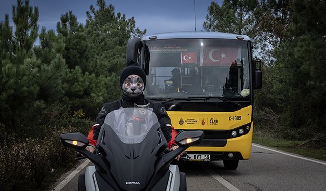 Motorlu Kedi Gofret, İstanbul Sokaklarını Keşfe Çıktı