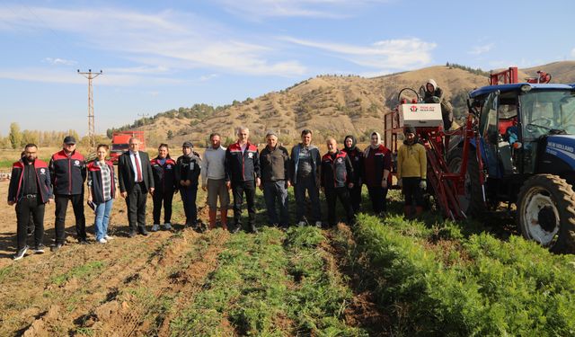 Bahşılı'da havuç hasadı yapıldı