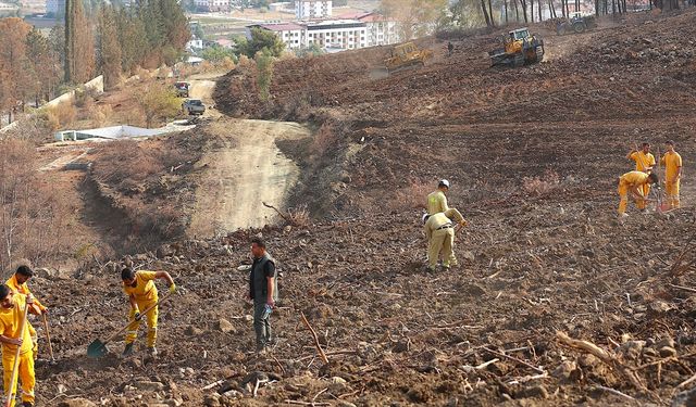 Hatay’da 36 bin 550 fidan toprakla buluşacak