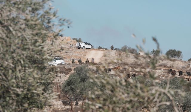 'İsrailliler işgal altındaki Batı Şeria'da geçen ay 264 saldırı düzenledi'