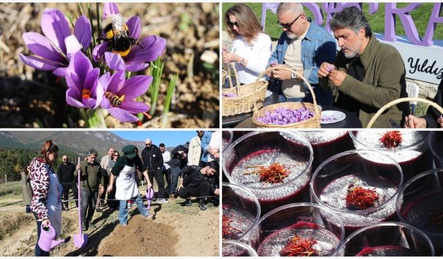 Safranbolu’da “Safran İmecesi” Etkinliği Düzenlendi