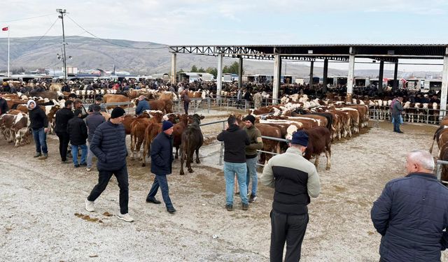Sorgun'da hayvan pazarı yeniden açıldı