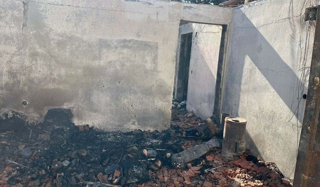 30 kedisiyle ölen İzmirli hayvanseverin arkadaşları konuştu