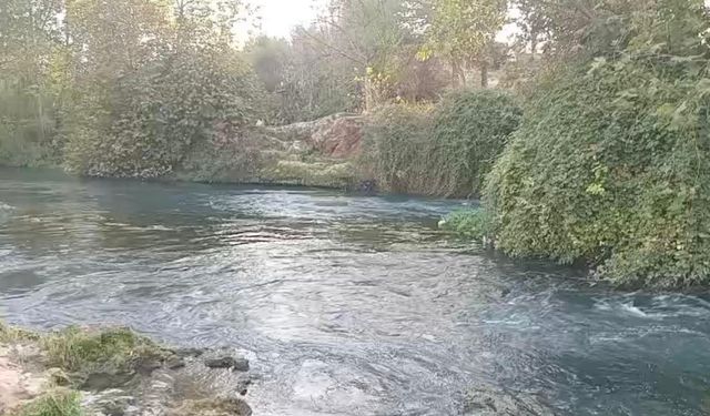 Antalya’da Çaya Düşen Kişi Can Simidiyle Kurtarıldı