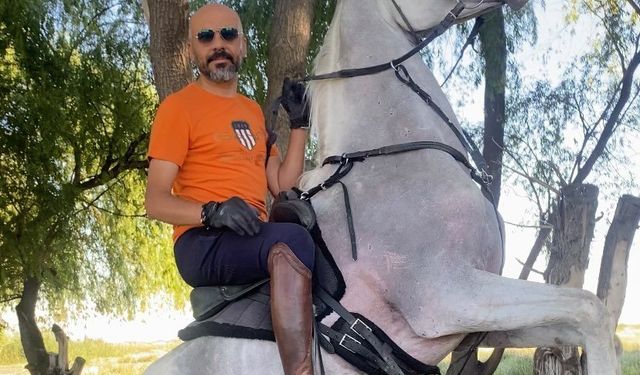 Atla elektrik direğine çarptı!