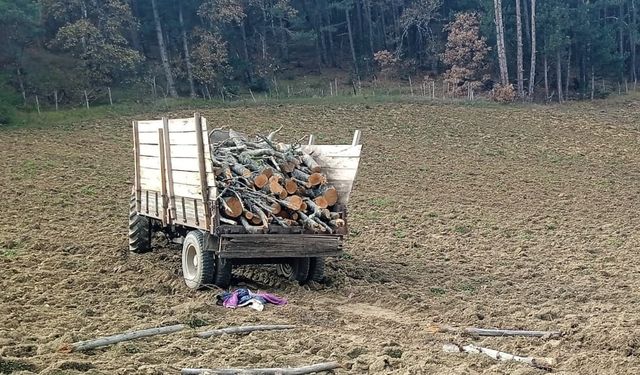 Bolu'da traktör, tarlaya savruldu