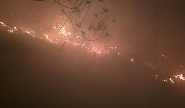 Hatay'da çıkan orman yangını, 12 saatte kontrol altına alındı
