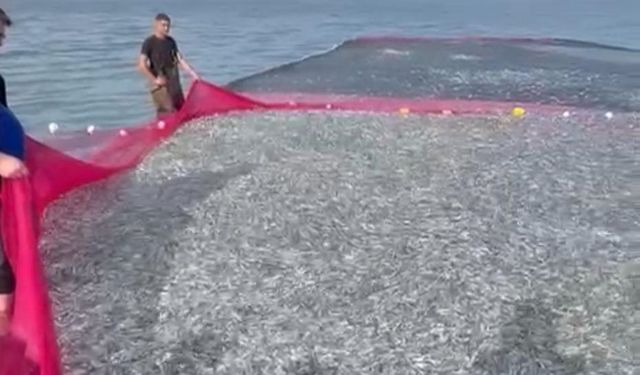 İznik Gölü’nde rekor av