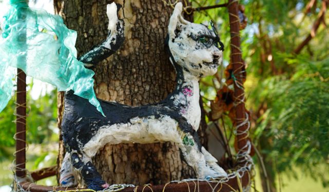 Kanseri Yenen Doktor, Poşet ve Plastiklerle Sanat Yapıyor