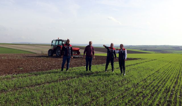 Kuraklığa karşı en ideal ekim metodu belirlenecek