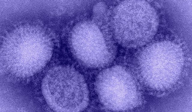 Kuzey Yarımküre'de 'H3N2' alarmı verildi!