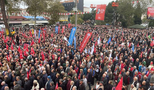 Ordu ve Giresun Fındıkta Dünya Devi