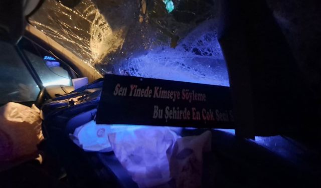 Ordu'da minibüs, TIR'a çarptı; 2 yaralı