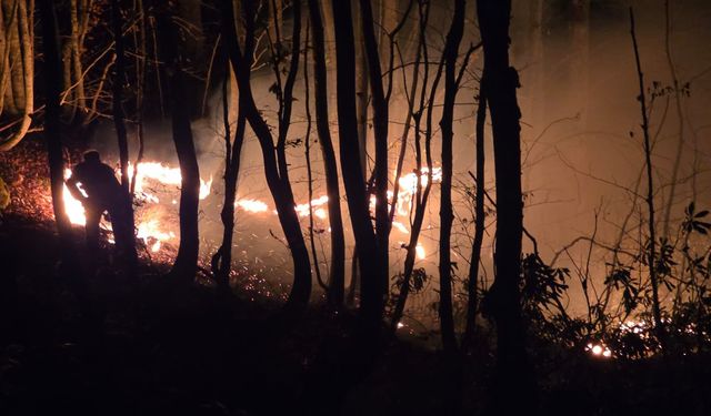 Ordu'da örtü yangını çıktı