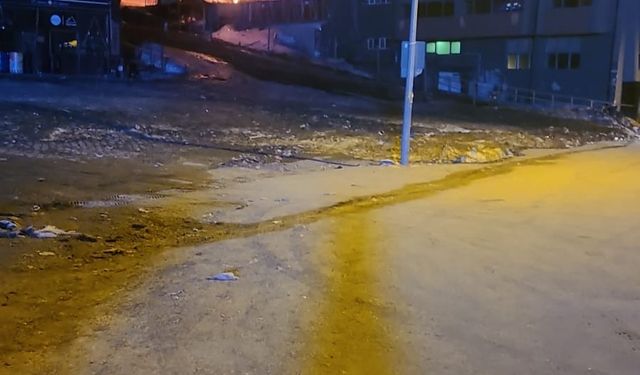 Uludağ Yangını Sonrası Üsta Ailesi Tazminat Talebiyle Karşı Karşıya