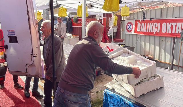 Zonguldak’ta hamsi fiyatları bir günde uçtu