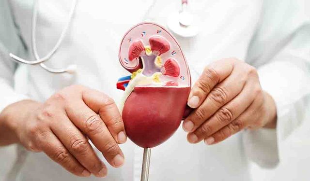 Limonlu Su Mucize mi, Yanılgı mı? Uzmandan Böbrek Taşı Uyarısı!