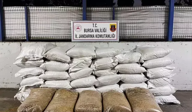 Bursa'da kaçak tütün operasyonu