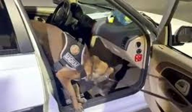 Erzurum'da uyuşturucu operasyonu