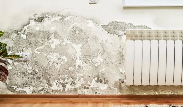Kışın Evde Rutubet Nasıl Önlenir?