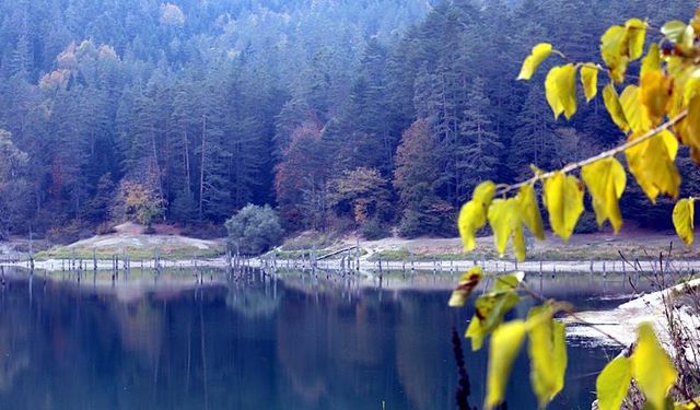 Manisa'da Sülüklü Göl, bu yıl tamamen kurudu