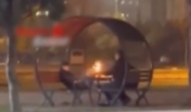 Kayseri’de Parktaki Kamelyayı Yakan Şüpheliler Yakalandı