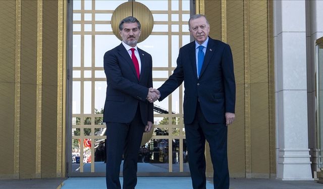 Cumhurbaşkanı Erdoğan ve Gürcistan Cumhurbaşkanı'nın görüşmesinde neler konuşuldu?