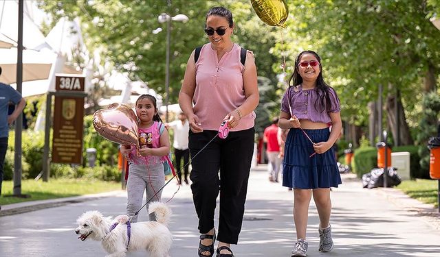 Ankara’da Deneyimlenecek En İyi 20 Aktivite