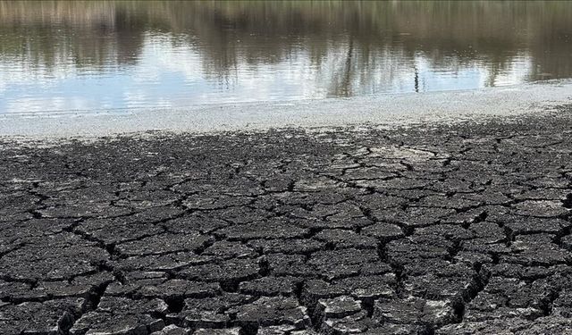 Dünyayı Tehdit Eden Su Krizi: 2025’te Küresel Kuraklık ve Alarm Verici Durum