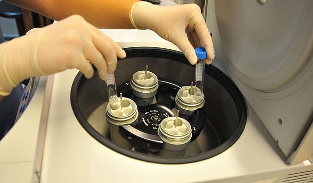 Tüp Bebekte Doğru Merkez Başarıyı Belirliyor!